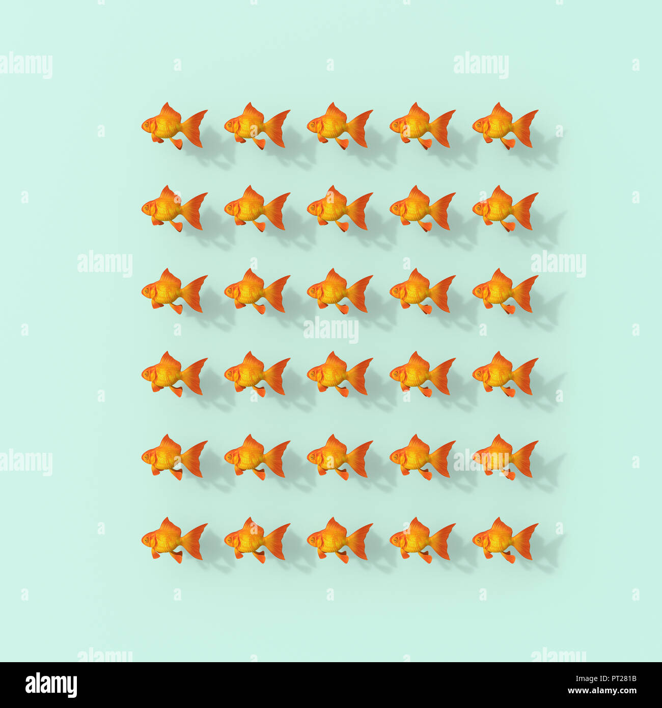 3D Rendering, Filas de peces dorados sobre fondo verde Foto de stock