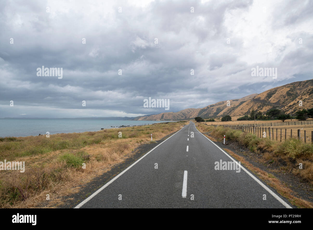 Carretera recta bajo un cielo de Moody, Cape Palliser, región de Wellington, Isla del Norte, Nueva Zelanda Foto de stock