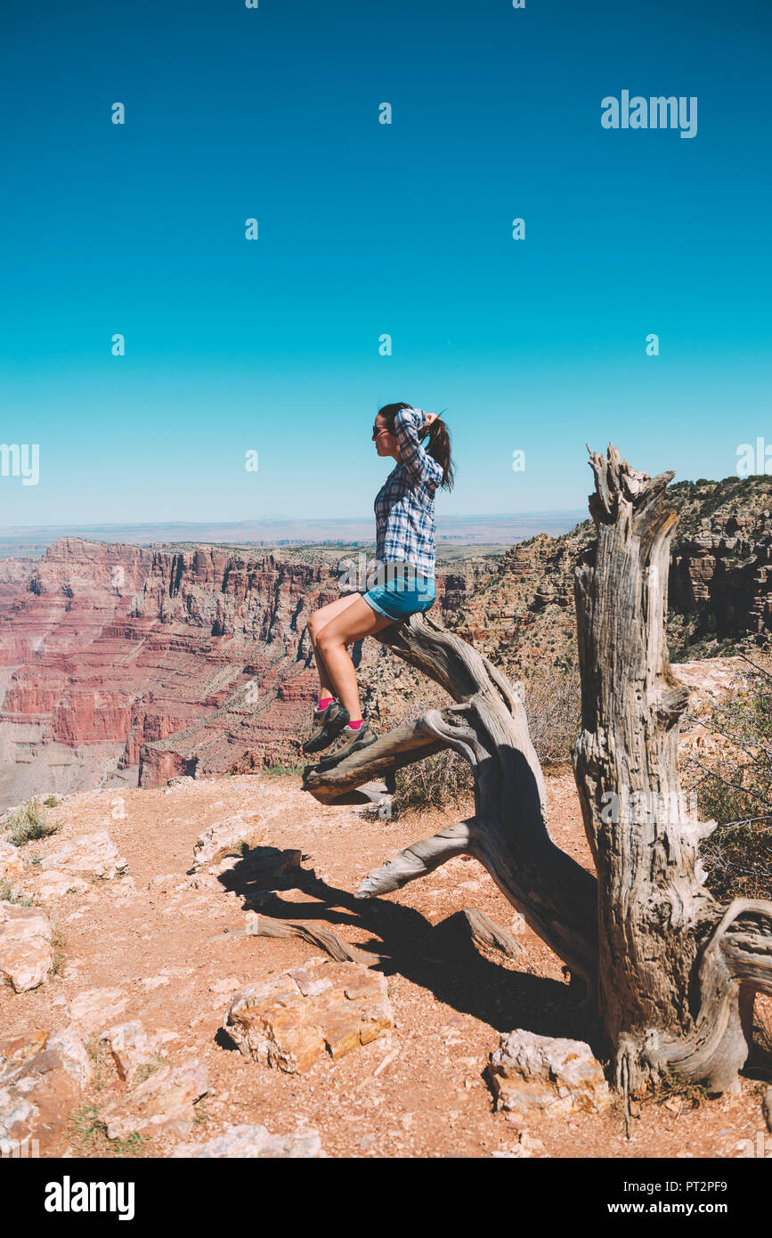 Ee.Uu., Arizona, Grand Canyon National Park, Grand Canyon, una mujer mirando ver Foto de stock