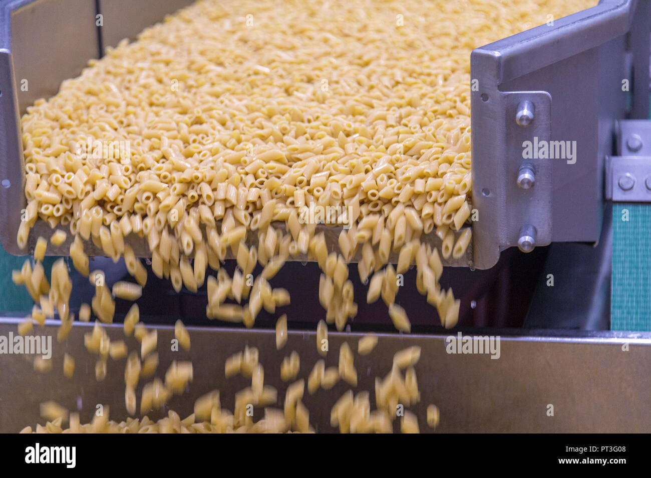 Pastas frescas en la cinta transportadora de una compañía de producción de alimentos del Reino Unido Foto de stock
