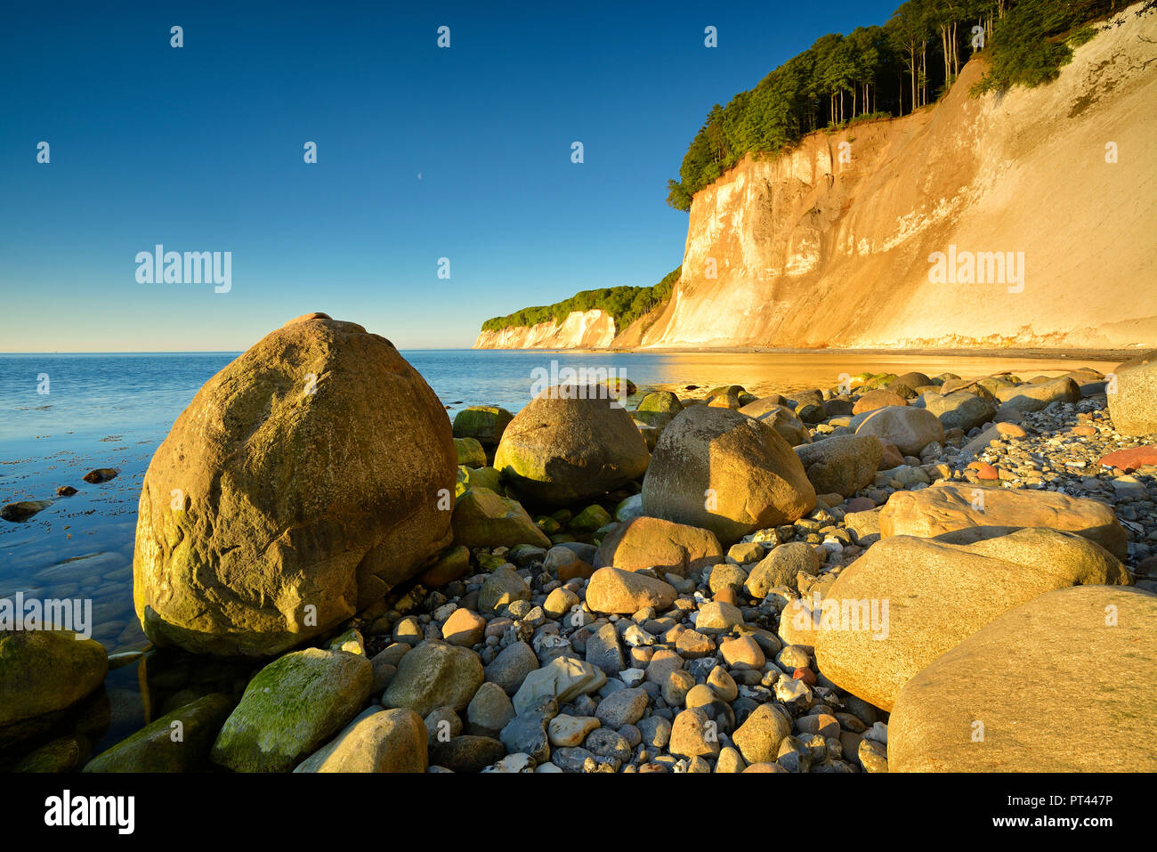 En Alemania, el Estado federado de Mecklemburgo-Pomerania Occidental, la isla de Rügen, Parque Nacional Jasmund, rocas calcáreas en la cálida luz del sol de la mañana, grandes piedras en la playa Foto de stock