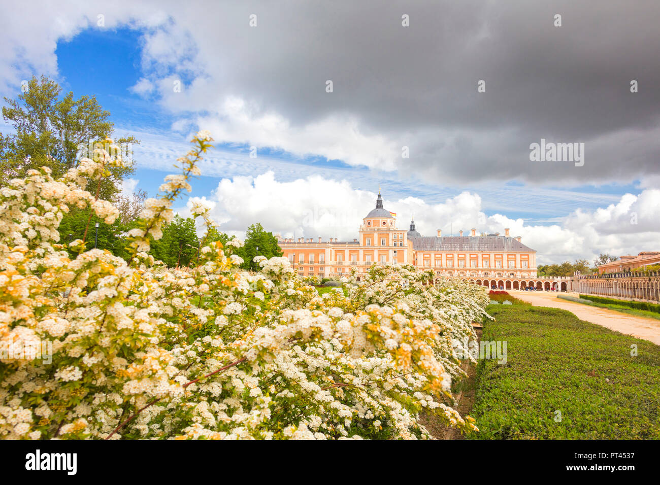 Flores ornamentales y jardines, el Palacio Real de Aranjuez (Palacio Real), Comunidad de Madrid, España Foto de stock