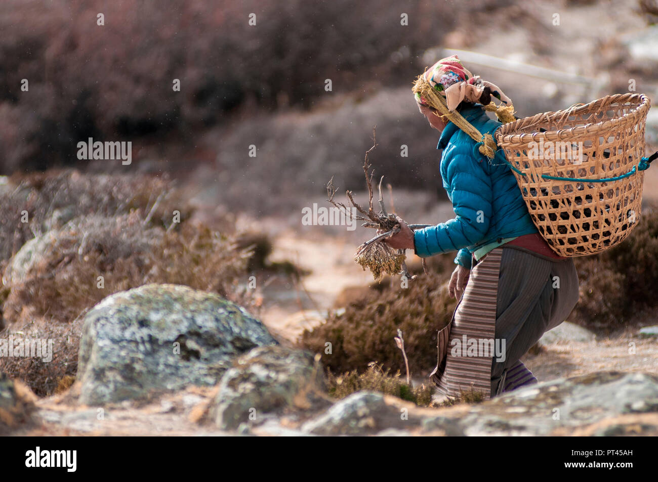 Asia (Nepal, Himalaya, Khumbu, Tengboche, el Parque Nacional de Sagarmatha, el campamento base del Everest Trekking Foto de stock