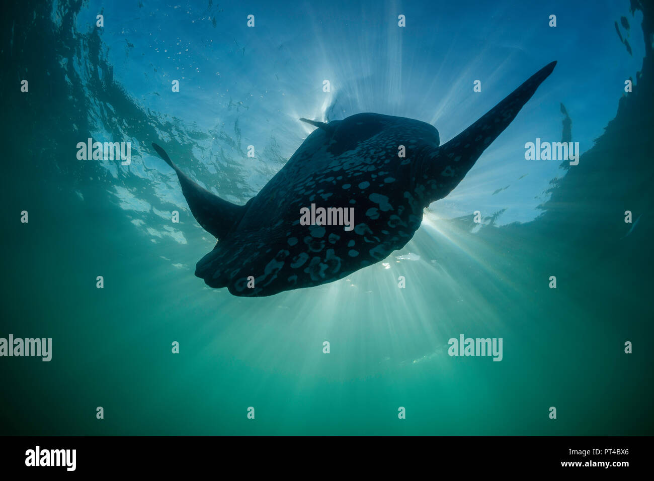 Africa Del Sudoeste Fotos e Imágenes de stock Alamy