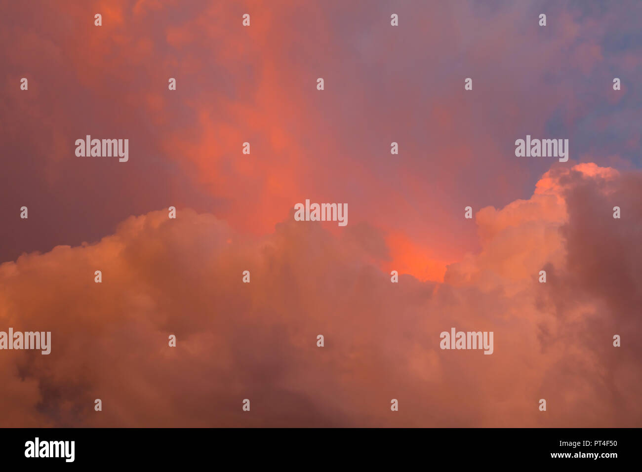 Nubes de tormenta sumnmer rojizo sobre el suroeste de Florida Estados Unidos Foto de stock