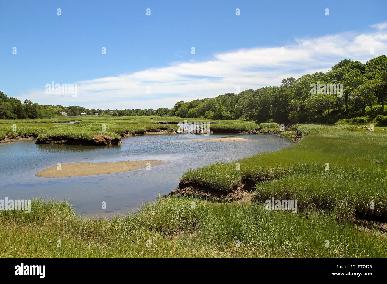 Los humedales, Barnstable, en Cape Cod, Massachusetts, Estados Unidos Foto de stock