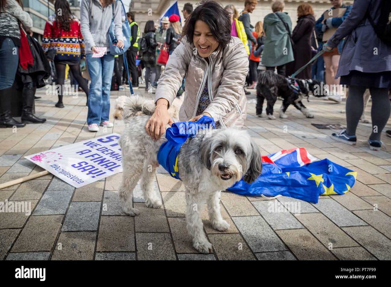 Londres, Reino Unido. El 7 de octubre de 2018. Pro-EU 'Wooferendum" perro de marzo. Crédito: Guy Corbishley/Alamy Live News Foto de stock