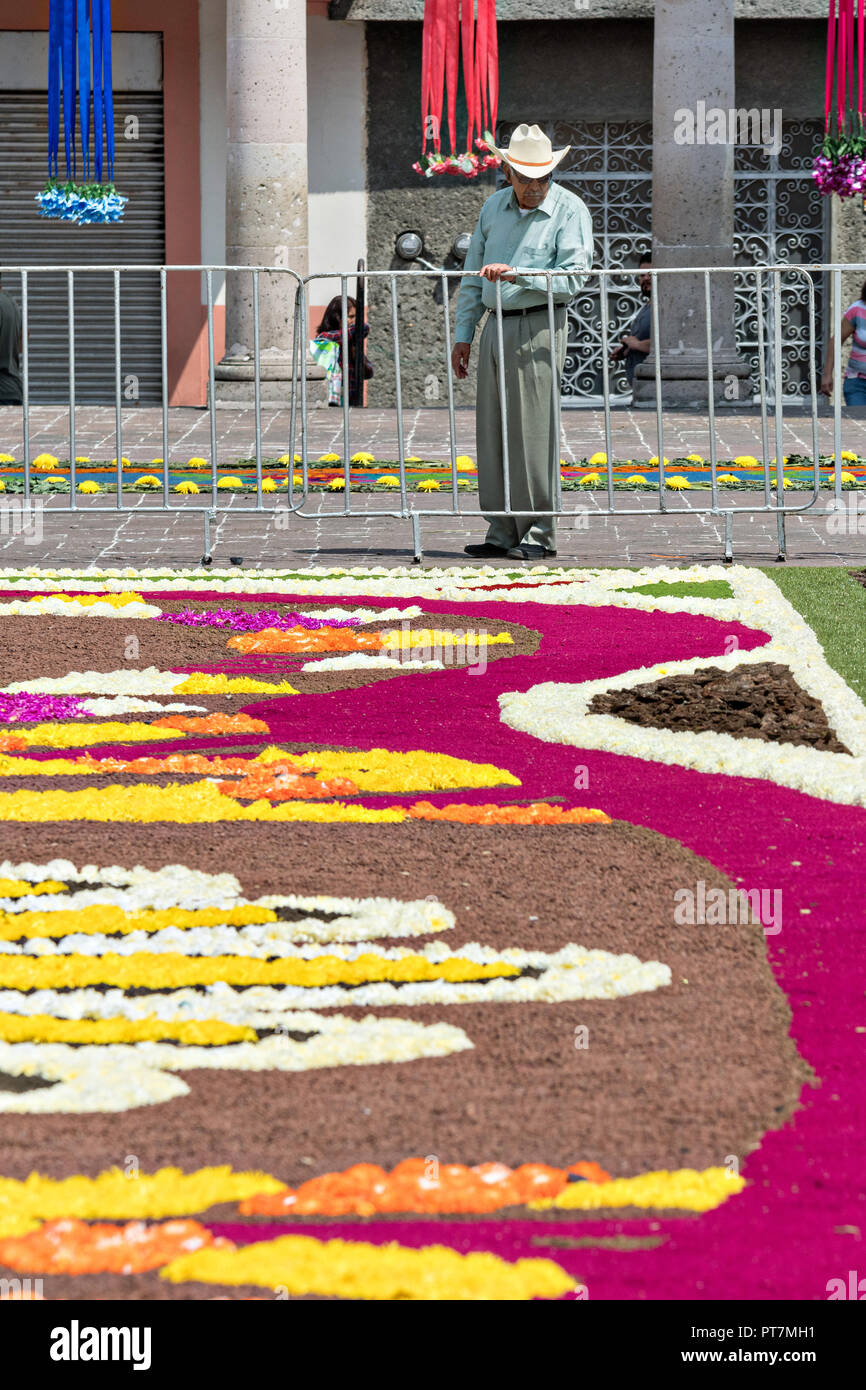 Un anciano cowboy mexicano opiniones las alfombras florales gigantes hechas  de aserrín de colores y decorados con flores durante la 8ª noche  celebración que marcó el final de la Fiesta de San