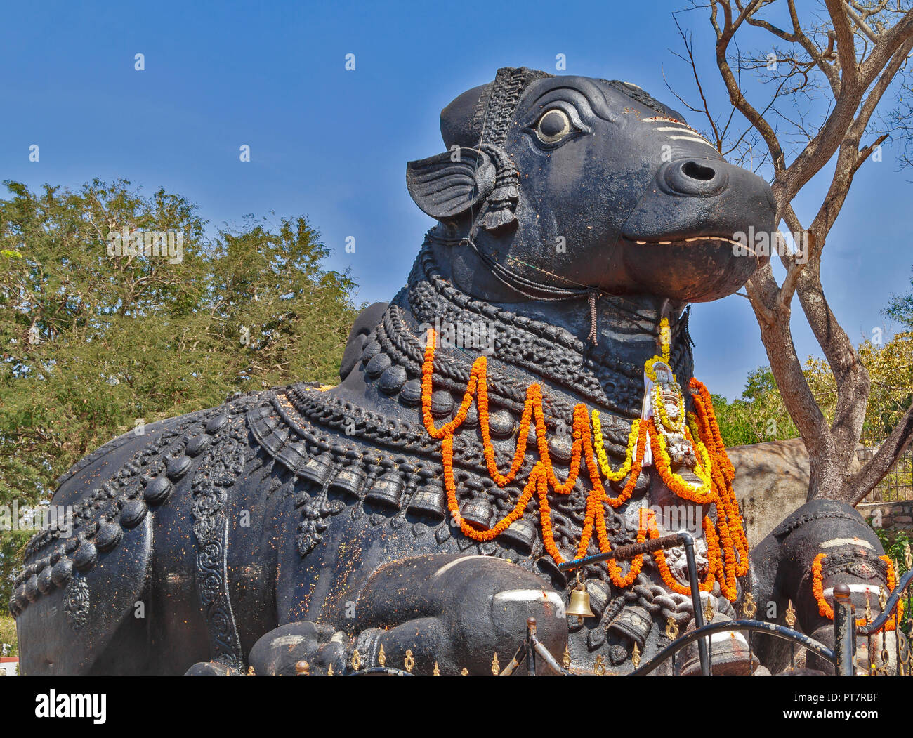 El toro Nandi dios hindú de la India una gran escultura con guirnaldas