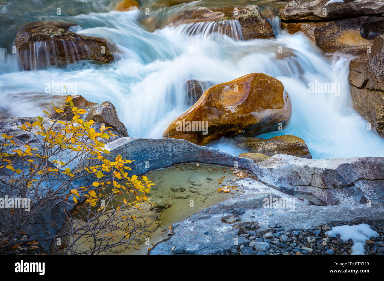 Nigel Short Creek es un arroyo situado en las Montañas Rocosas canadienses de Alberta, Canadá. Foto de stock
