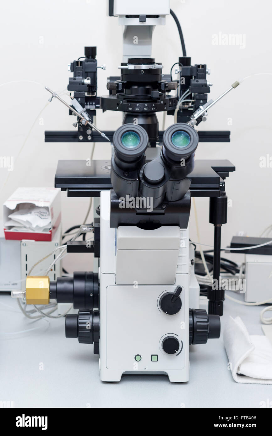 Microscopio moderno en el laboratorio de biotecnología. Equipo de laboratorio de fertilización Foto de stock
