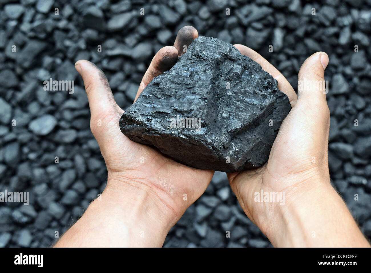 Carbón en manos de trabajador minero. La imagen puede utilizarse para la  idea de la minería del carbón, la fuente de energía o la protección del medio  ambiente Fotografía de stock -