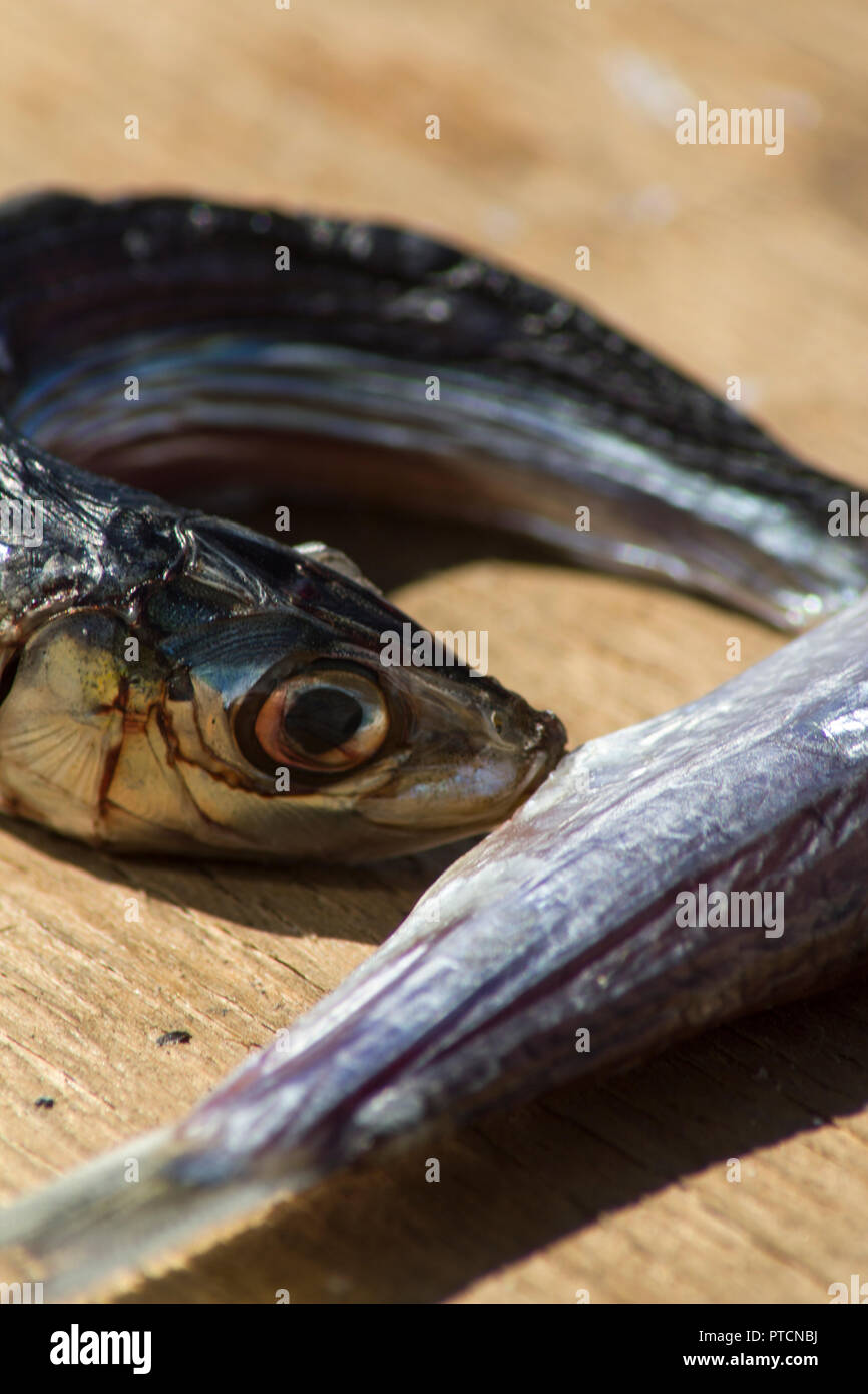 Sardina en tabla de cortar fotografías e imágenes de alta resolución - Alamy