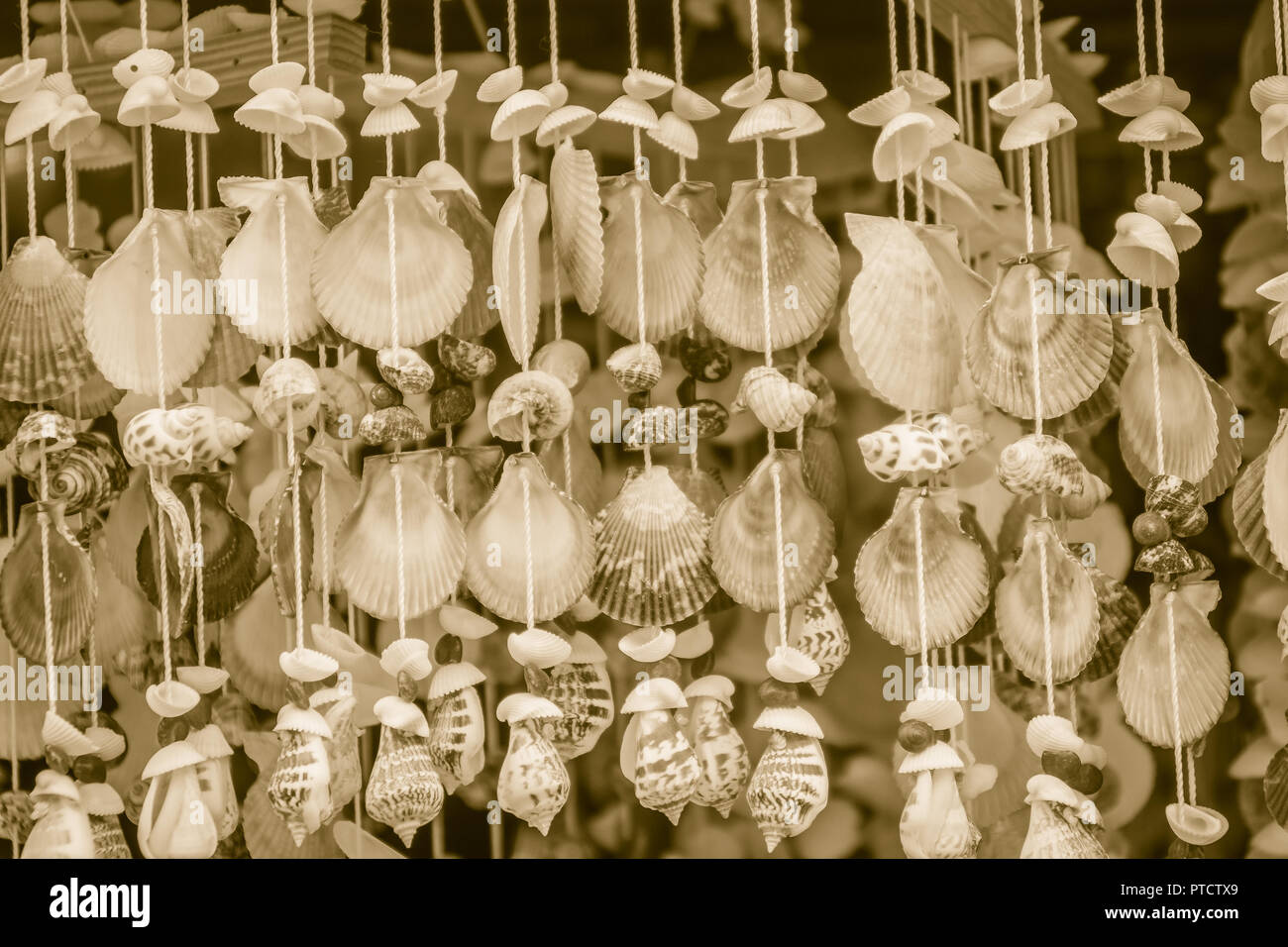 Cortina De Conchas De Mar Para La Decoración Fotos, retratos, imágenes y  fotografía de archivo libres de derecho. Image 24694643