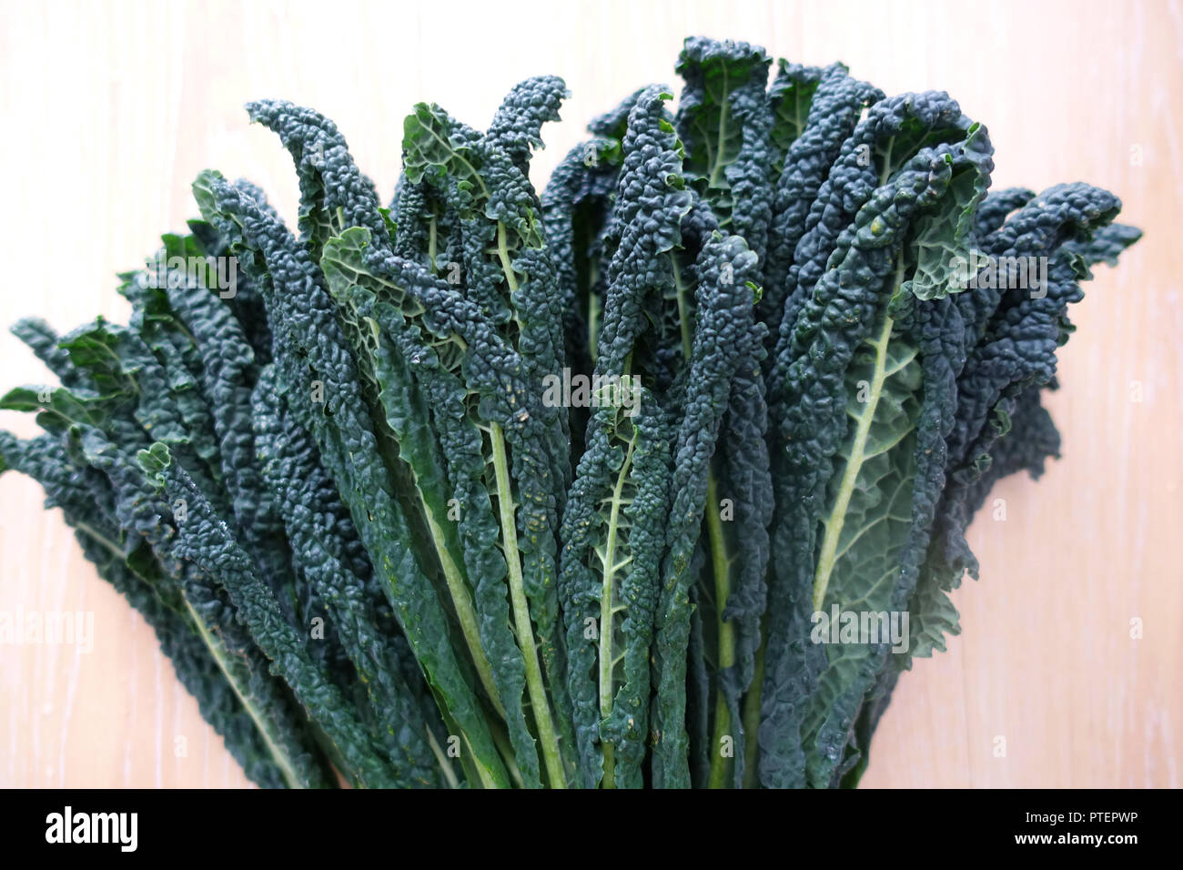 Lacinato kale o conocido como Kale Toscana Foto de stock
