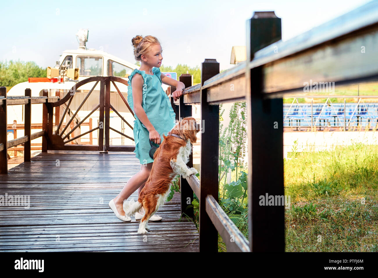 Chica Сhild magra está cerca de puente de madera mirando a otro lado. Cachorro de perro de raza Cocker Spaniel, descansando en las cercanías. Verano, día soleado, por la noche. Foto de stock