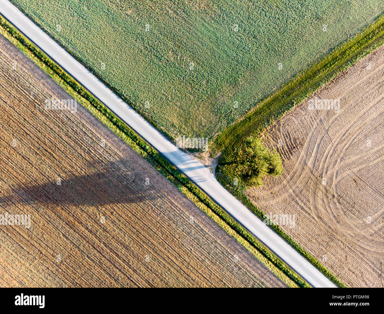 Pista en los campos y en la vista de árbol de drone. Foto de stock