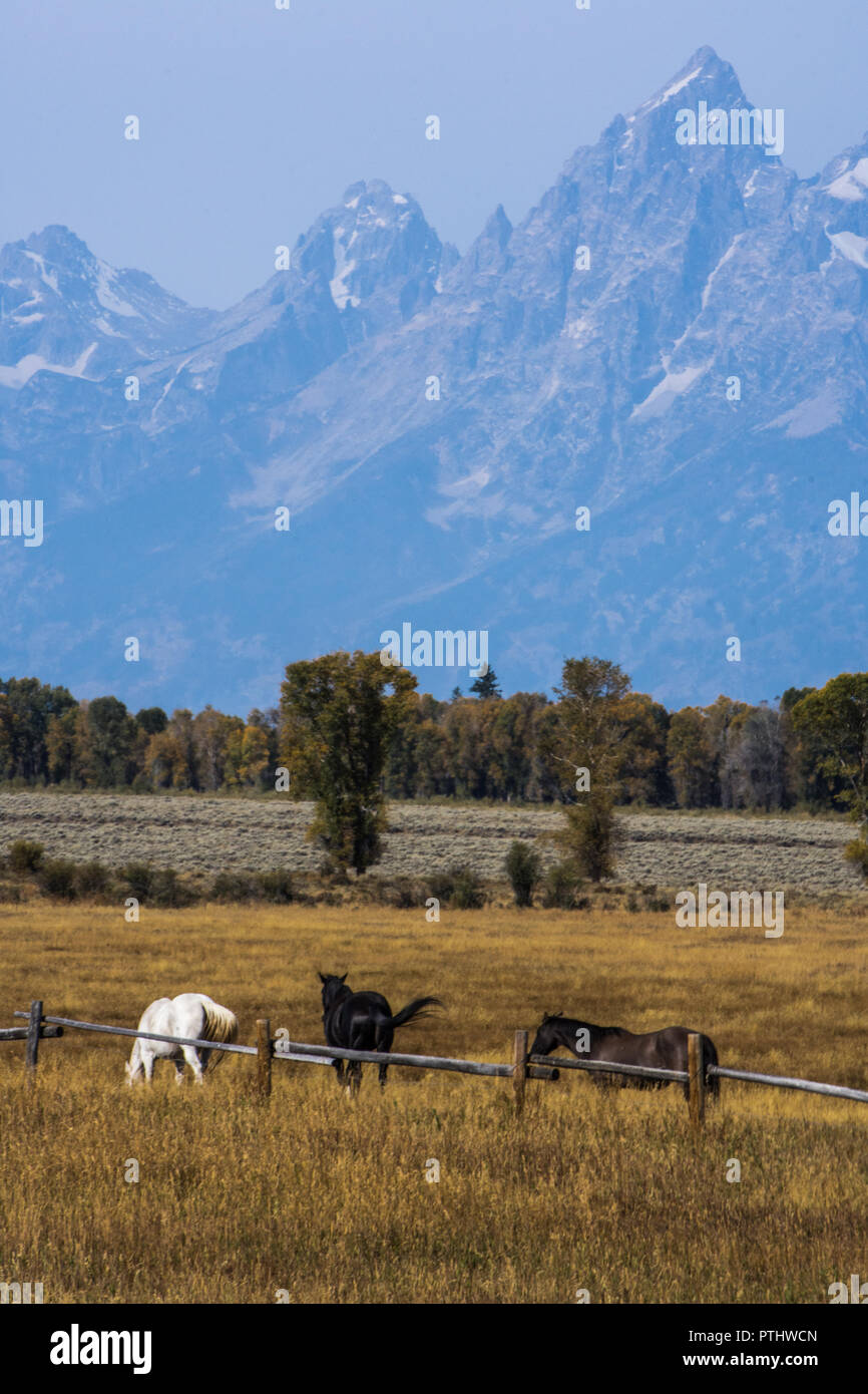 El paisaje alrededor del Parque Nacional Grand Tetons, Wyoming Foto de stock