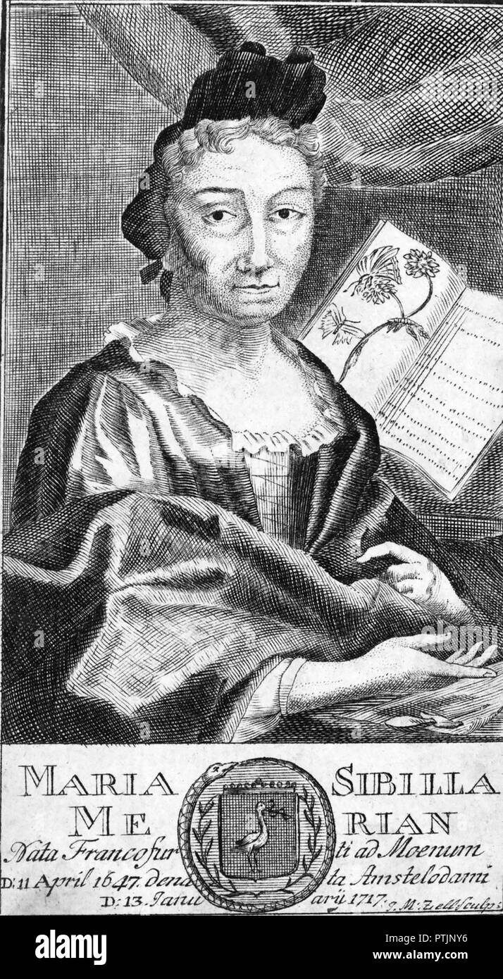 MARIA SIBYLLA Merian (1647-1717) naturalista alemán e Illustrator Foto de stock