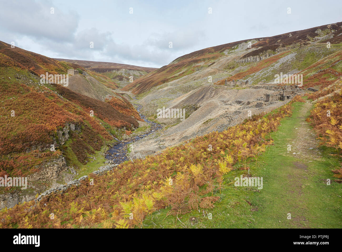 Restos de la otrora floreciente industria minera de plomo, parte de la mina, Bunting superiores de Gunnerside Ghyll Gill, Swaledale, Valles de Yorkshire, Reino Unido Foto de stock