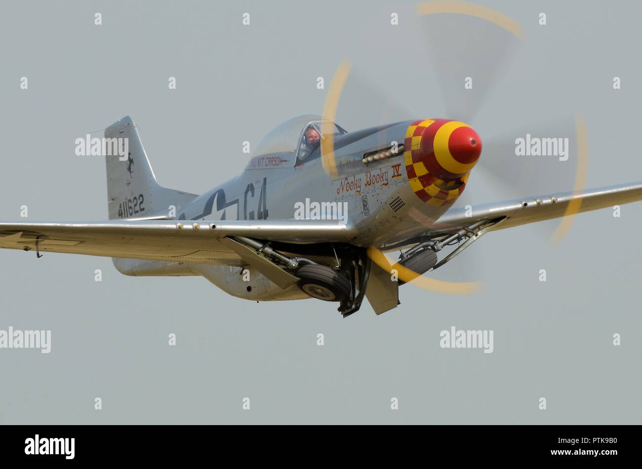North American P-51 Mustang avión de combate llamado Nooky Booky IV despegando para mostrar en un airshow acomodando sus ruedas del tren de rodaje. Espacio para copiar Foto de stock