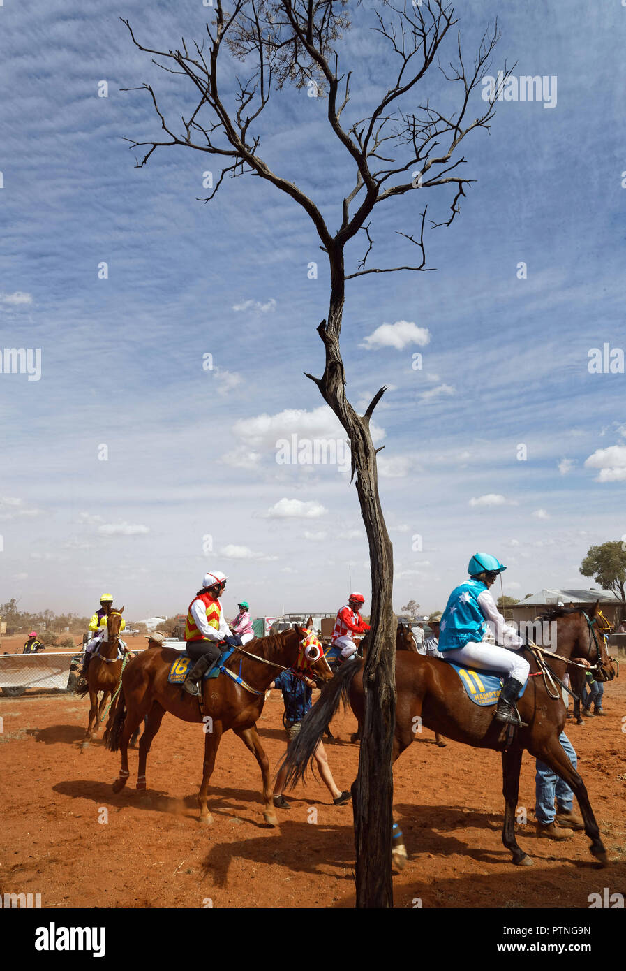 Landor,estacion,,Outback Jackaroo,Aussie,caballo,Australia,stockman,Austra Foto de stock