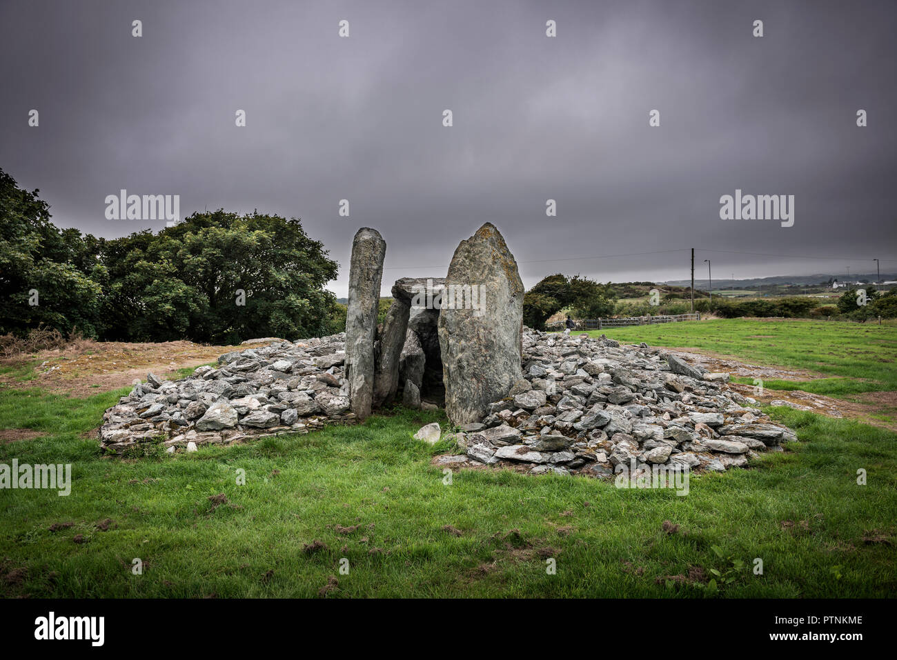 Neolítico Trefignath cámara mortuoria cerca de Holyhead, Anglesey, Gales, Reino Unido Foto de stock