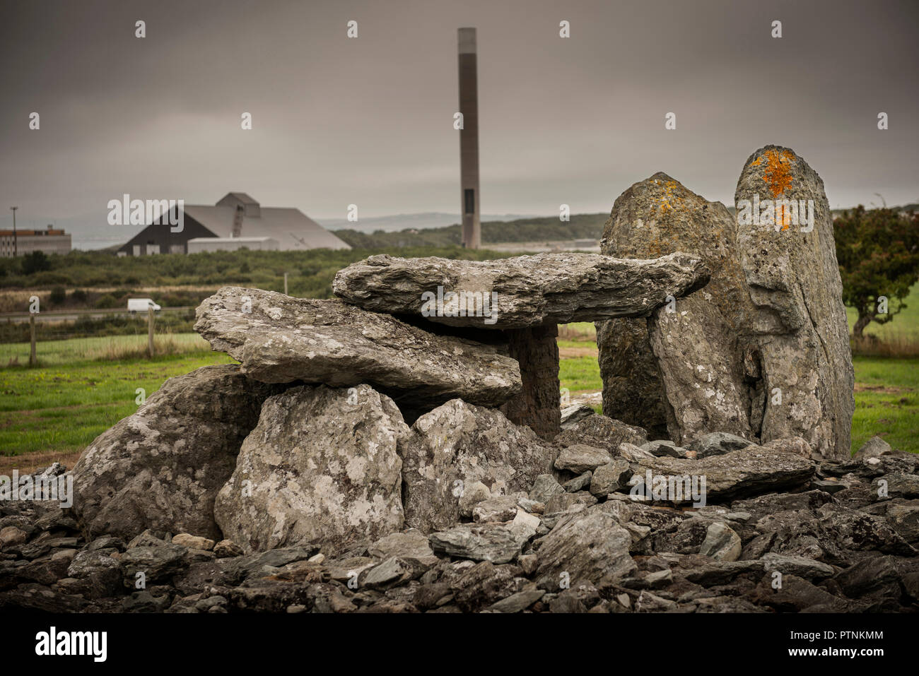 Neolítico Trefignath cámara mortuoria cerca de Holyhead, Anglesey, Gales, Reino Unido Foto de stock