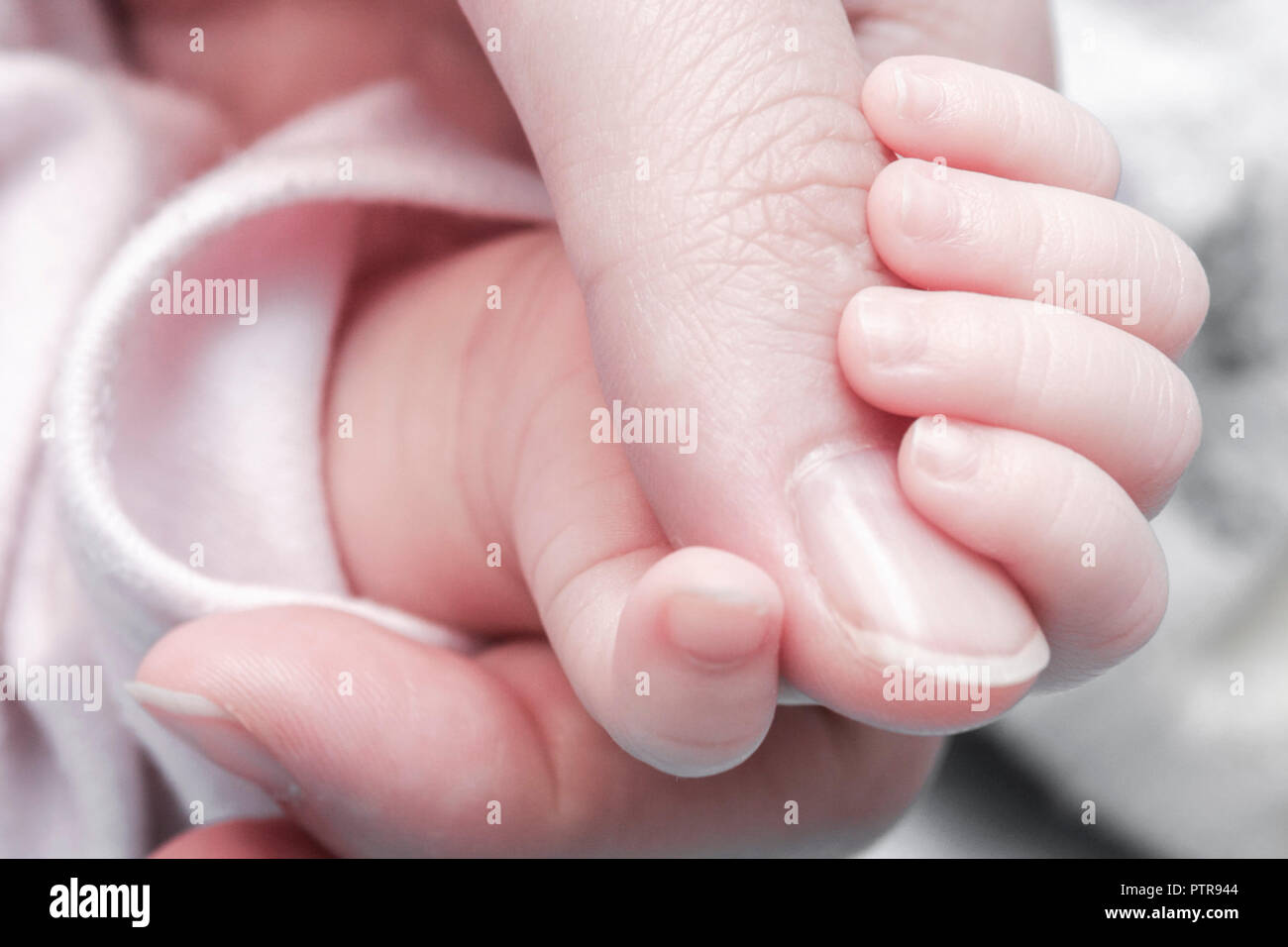 Download Bebe de liebe For Free