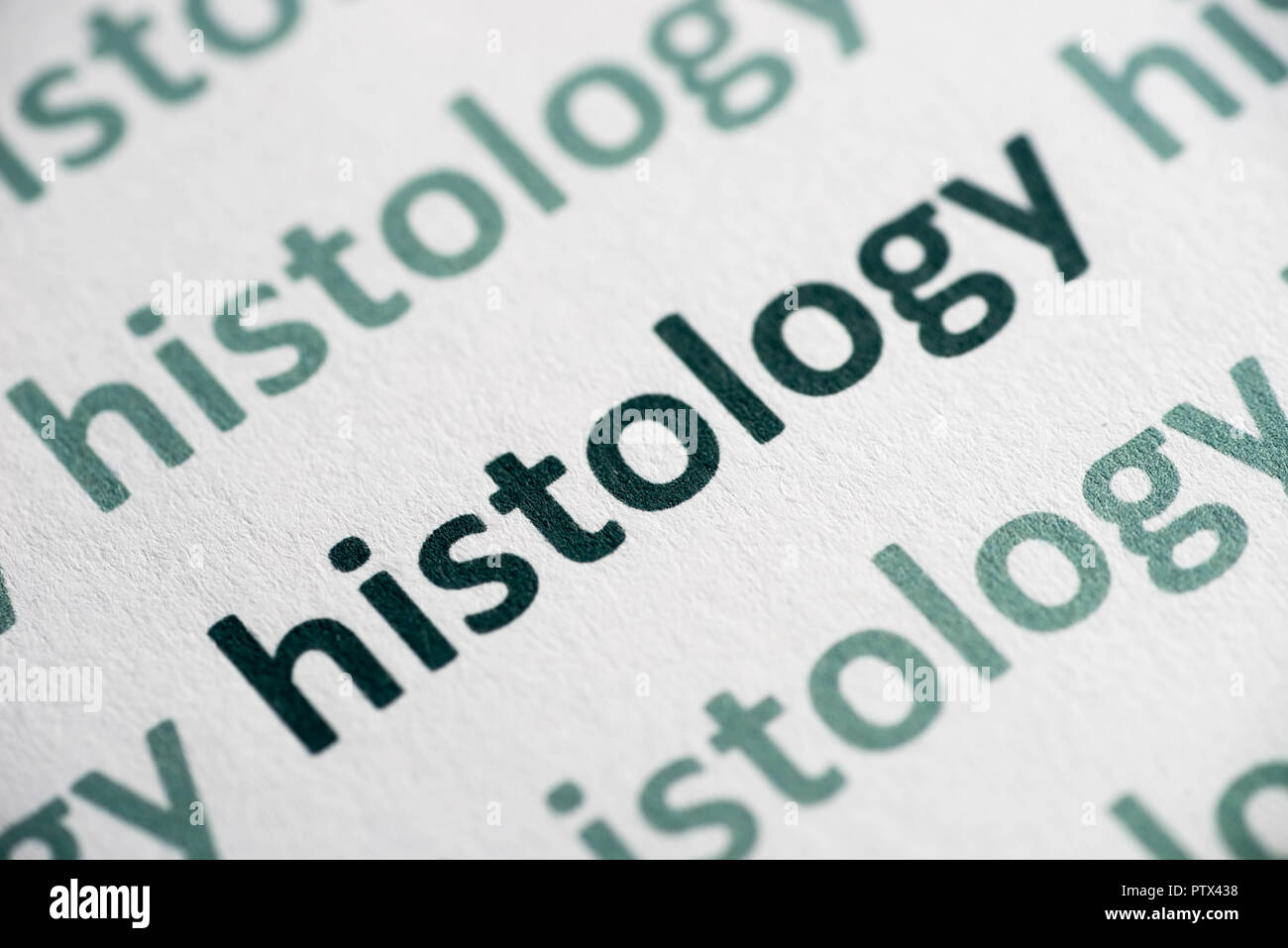 La histología de la palabra impresa sobre papel blanco macro Foto de stock