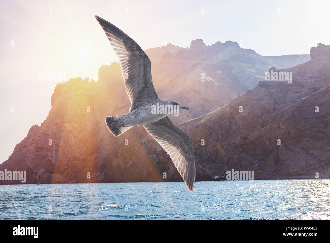 Vuelo de aves albatros en el soleado cielo sobre la cresta de rocas kara-dag en Crimea Foto de stock