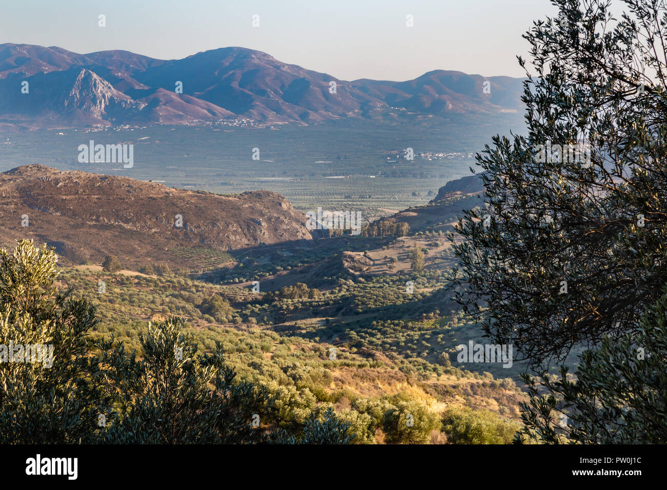 Las plantaciones de olivos en las altas montañas de la isla de Creta, Grecia Foto de stock