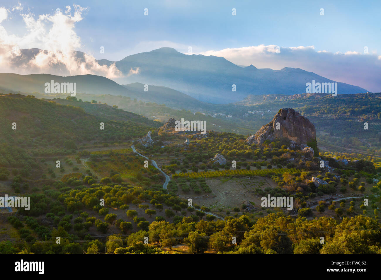 Las plantaciones de olivos en las altas montañas de la isla de Creta, Grecia Foto de stock