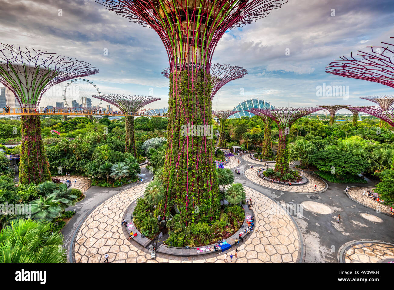 La Supertree Grove en jardines por el parque natural de la Bahía de Singapur Foto de stock