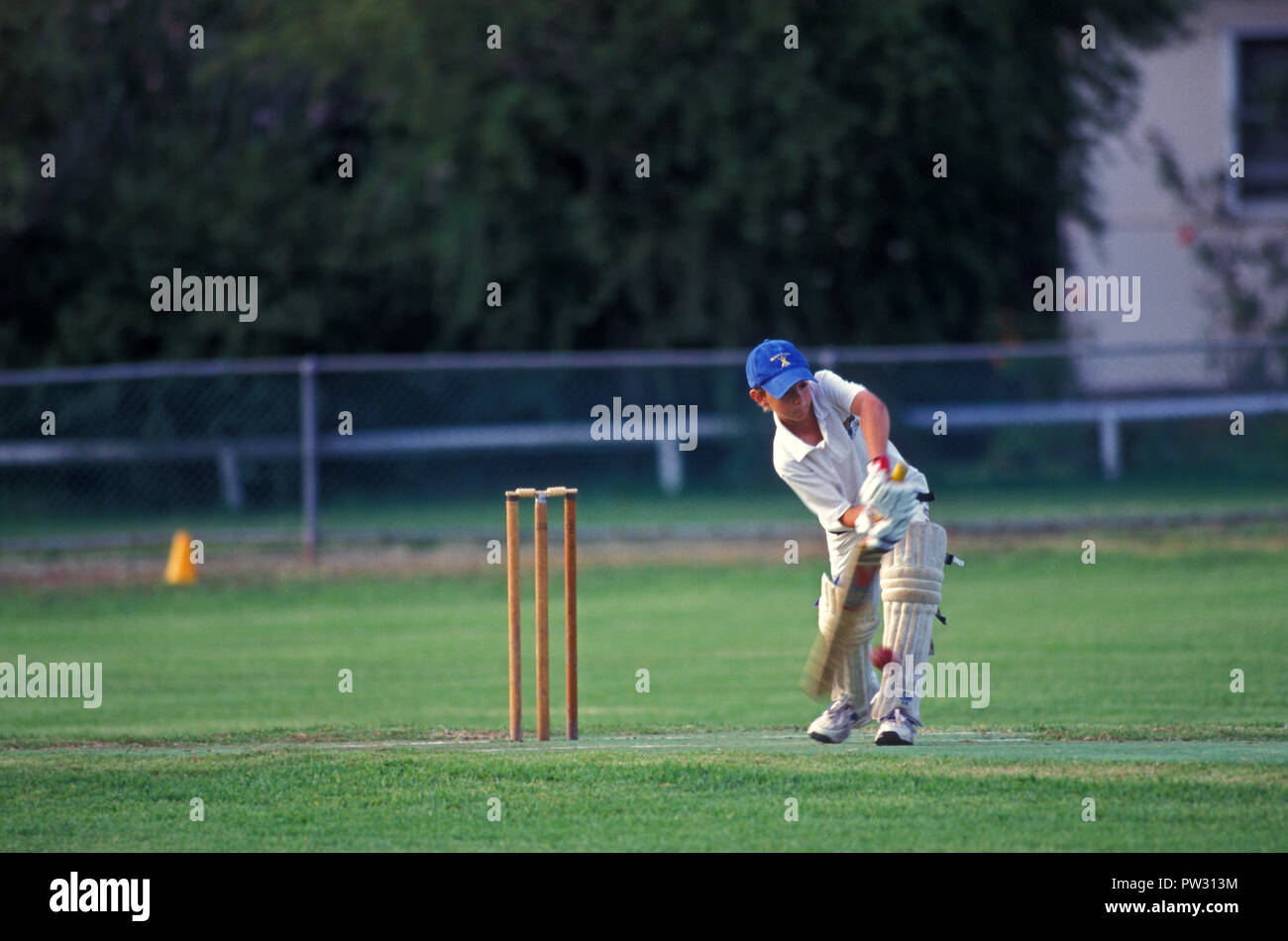 Juego de cricket Junior en progreso, Sydney, New South Wales, Australia Foto de stock