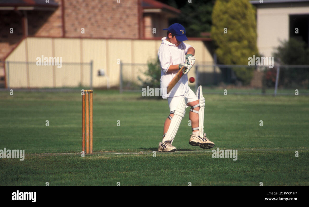 Juego de cricket Junior en progreso, Sydney, New South Wales, Australia Foto de stock