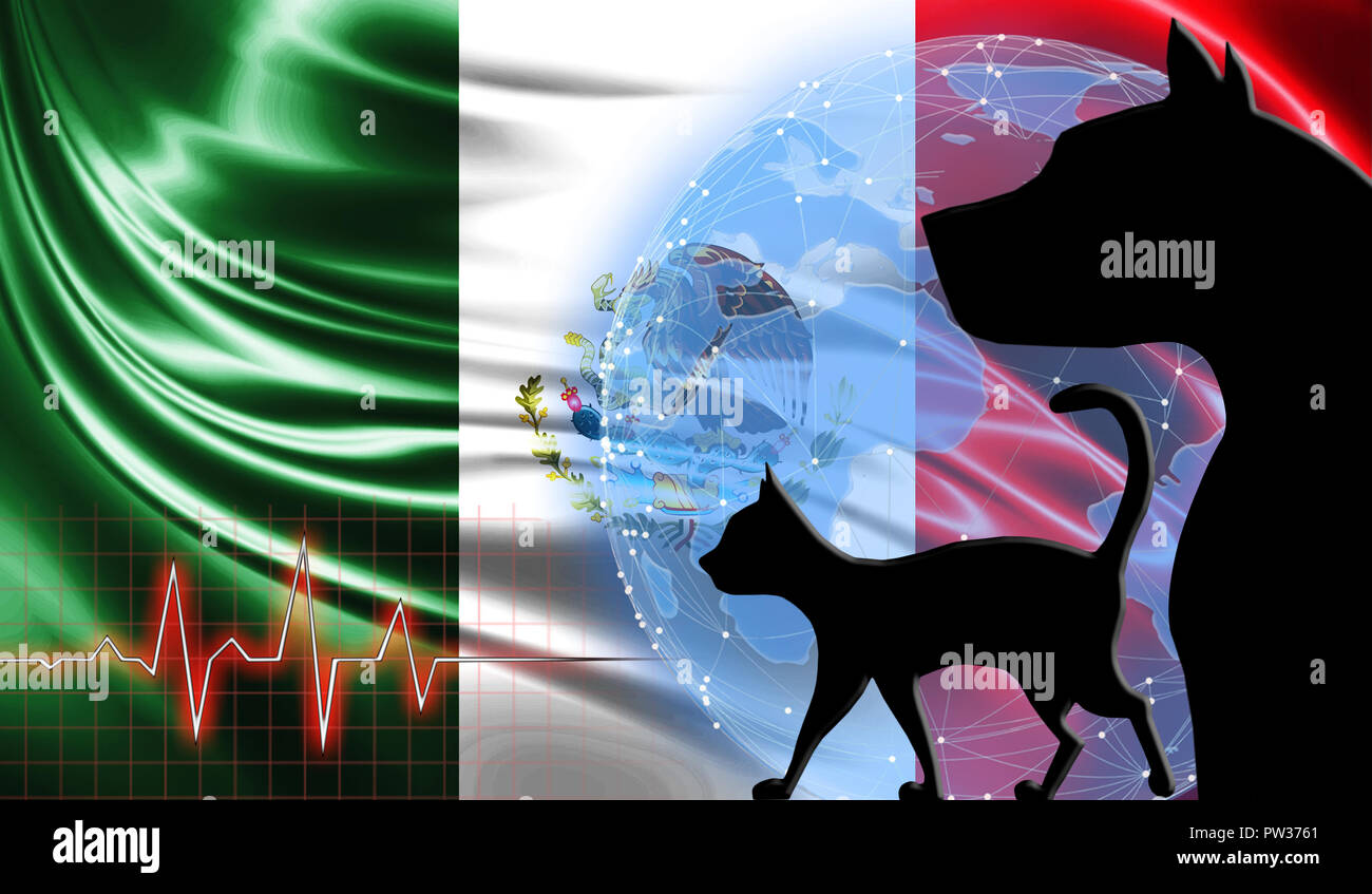 Perro y gato negro en el fondo de la bandera de México. Ayuda de emergencia  para las mascotas. Clínica veterinaria Fotografía de stock - Alamy