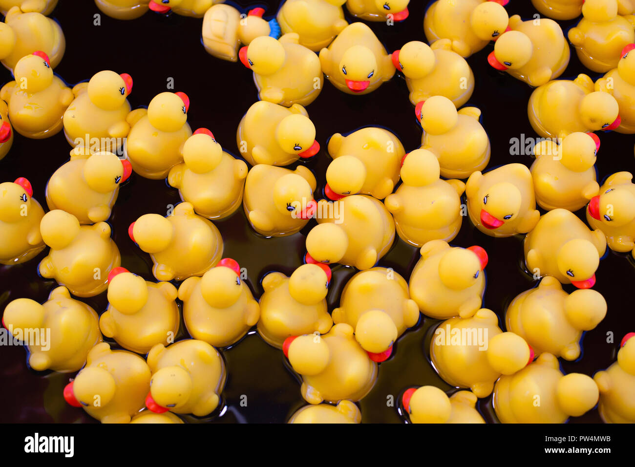Un alto ángulo de visualización de patitos de goma flotando sobre el agua Foto de stock