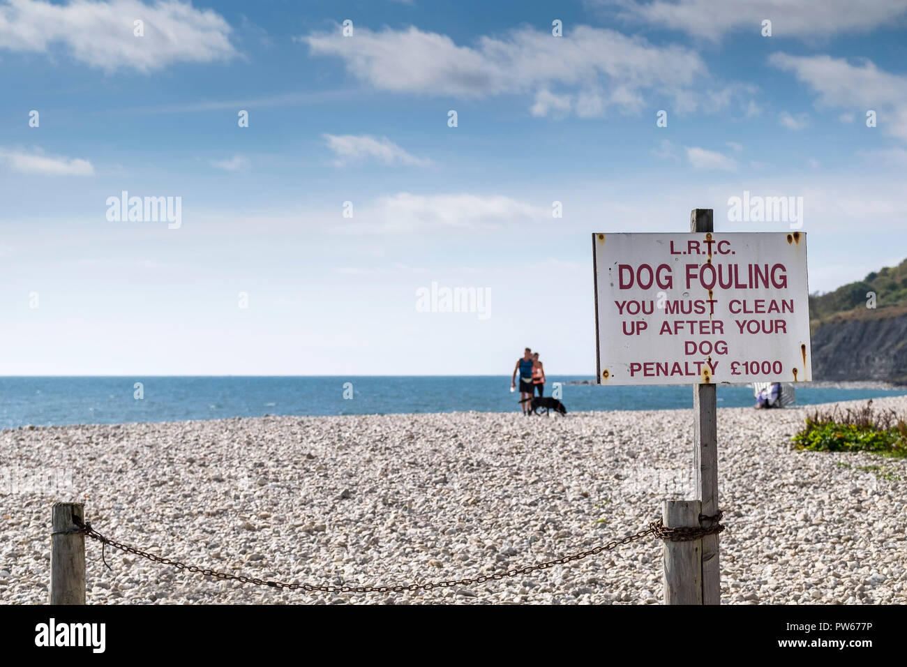 Un signo de advertencia sobre el ensuciamiento del perro en la playa en la localidad costera de Lyme Regis en Dorset. Foto de stock