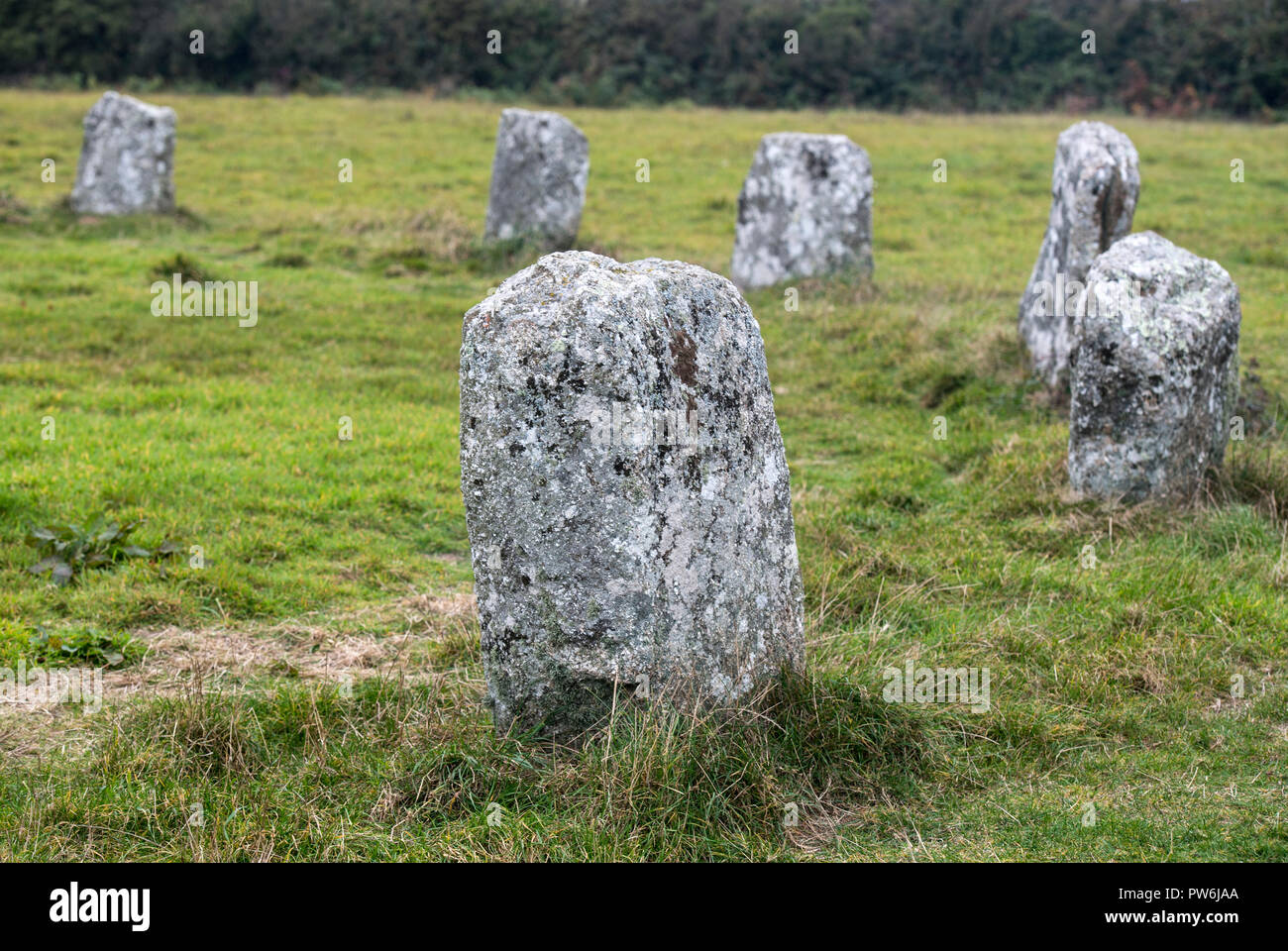 Algunas de las piedras que componen el círculo de piedra del Neolítico tardío conocido como Merry doncellas en Cornwall, Inglaterra, Reino Unido. Foto de stock