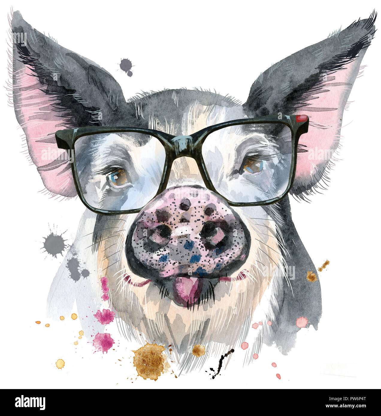 Lindo cerdito. Cerdo con gafas para T-shirt gráficos. Acuarela cerdo  manchas negras en la ilustración Fotografía de stock - Alamy