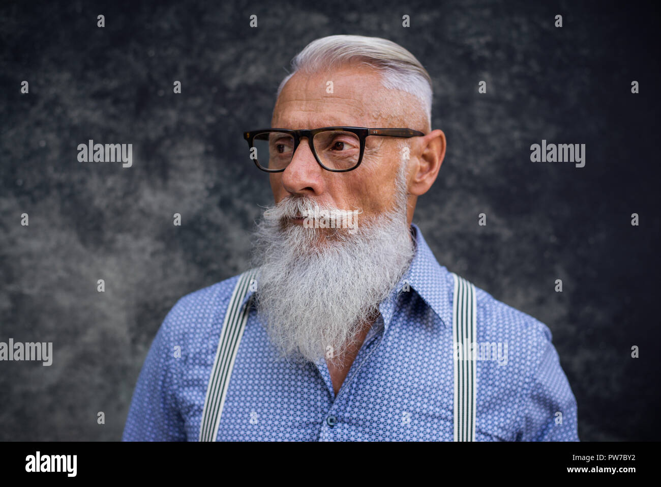 Apuesto hombre senior retrato - hombre elegante y juvenil en los años sesenta, los conceptos acerca de su estilo de vida, los ancianos y los negocios Fotografía de stock - Alamy Apuesto hombre senior retrato - hombre elegante y juvenil en los años sesenta, los conceptos acerca de su estilo de vida, los ancianos y los negocios Fotografía de stock - Alamy