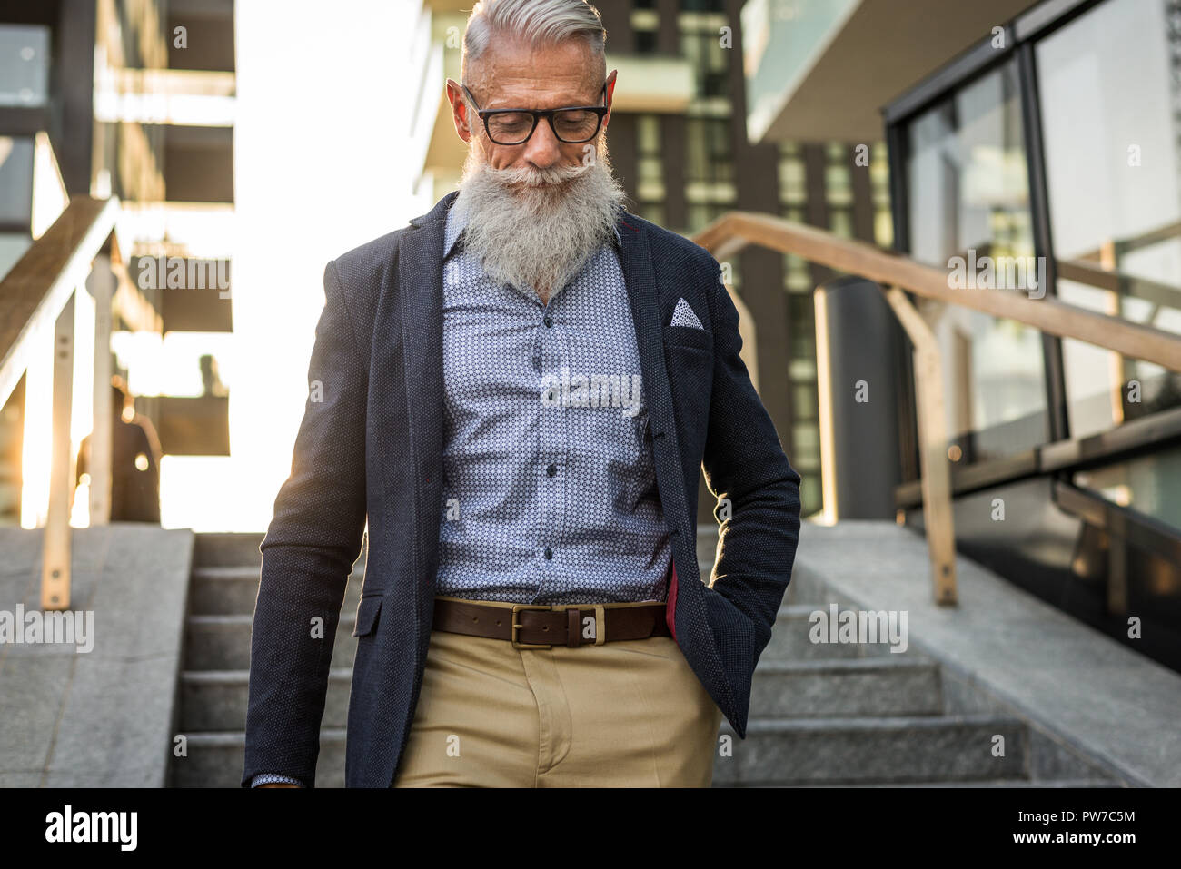 Apuesto hombre senior retrato - hombre elegante y juvenil en los años sesenta, los conceptos acerca de su estilo de vida, los ancianos y los negocios Fotografía de stock - Alamy Apuesto hombre senior retrato - hombre elegante y juvenil en los años sesenta, los conceptos acerca de su estilo de vida, los ancianos y los negocios Fotografía de stock - Alamy