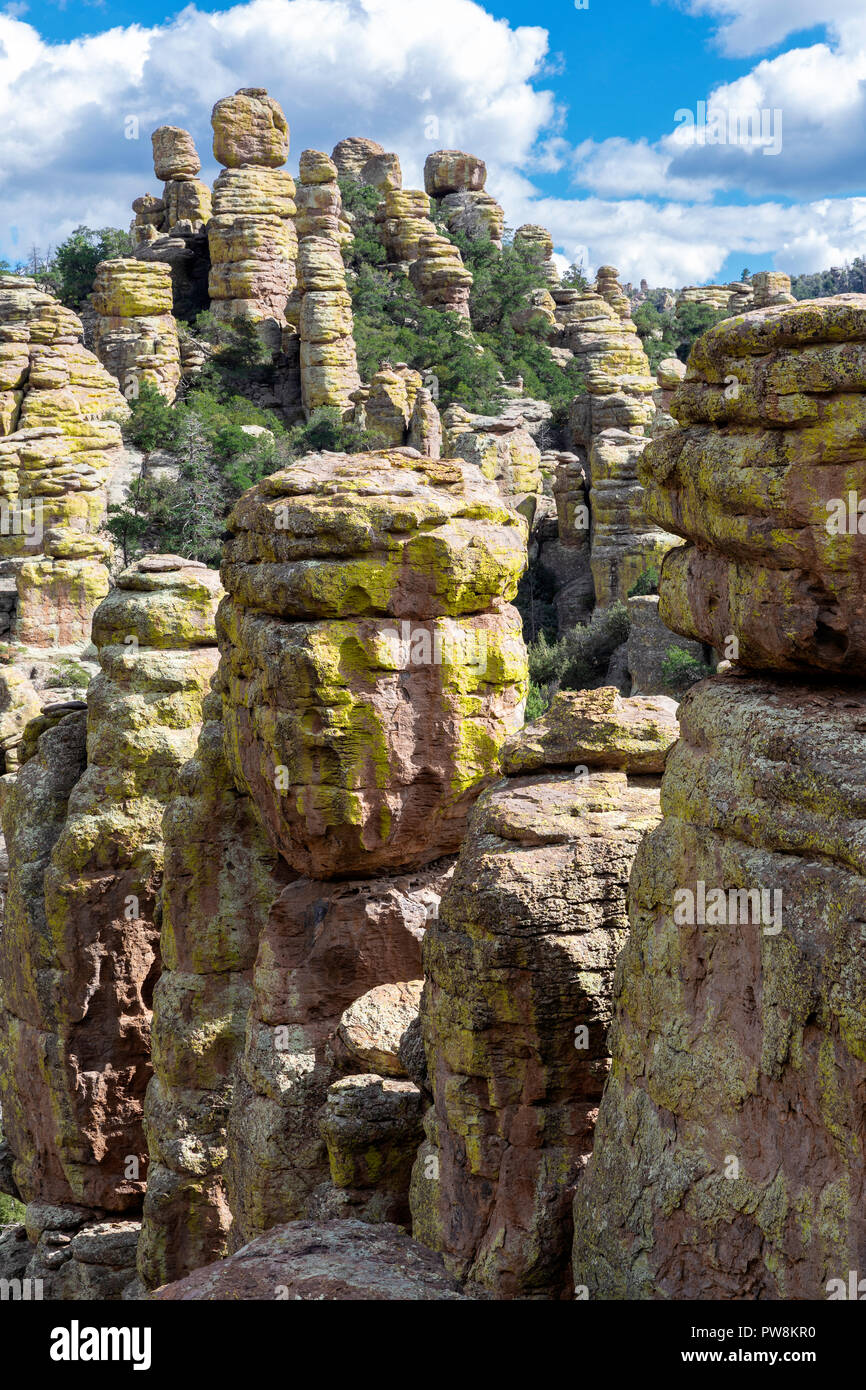 Liquen Hoodoos de rhyolite cubiertos, Monumento Nacional Chiricahua, Arizona Foto de stock