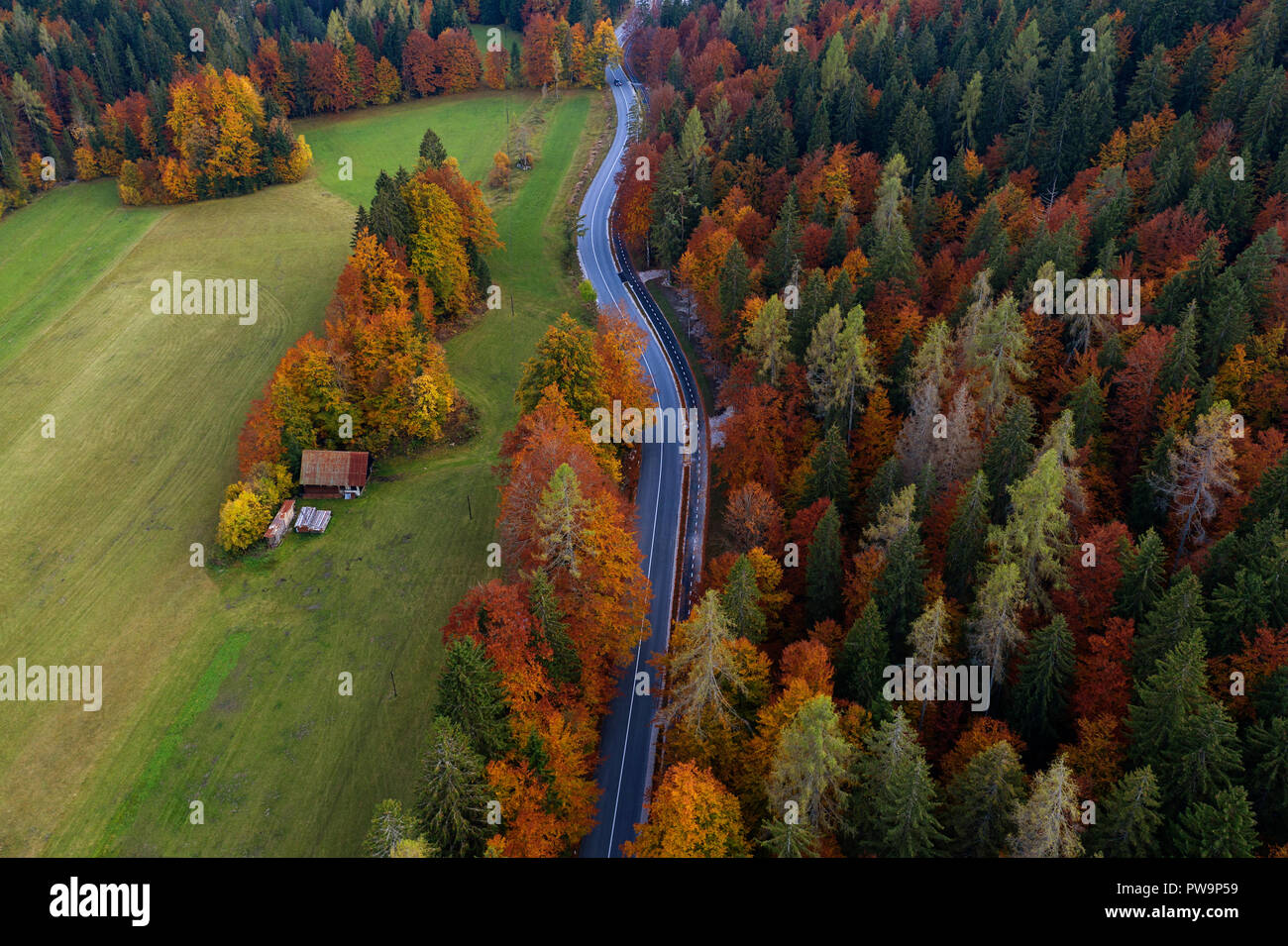 Vista aérea de la carretera en maderas de color otoño Foto de stock
