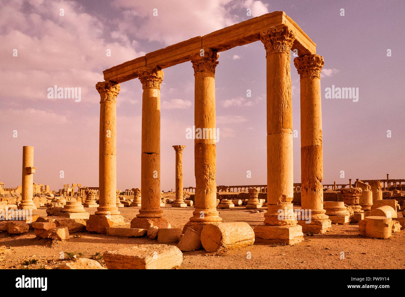 Columnas antiguas de Palmyra, Siria Foto de stock