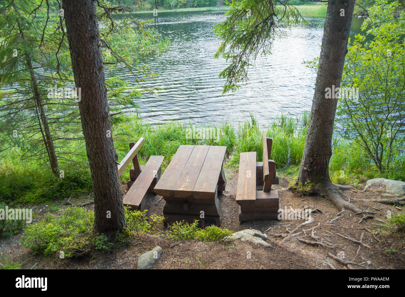 Mesa de picnic asientos en el bosque cerca del lago Foto de stock
