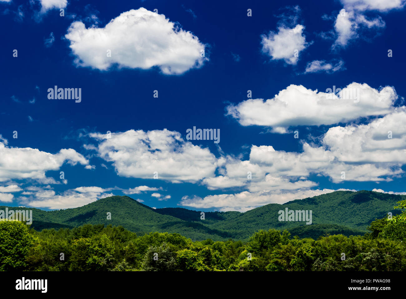 Paisaje de las montañas apalaches en un brillante día con nubes blancas y el cielo azul Foto de stock