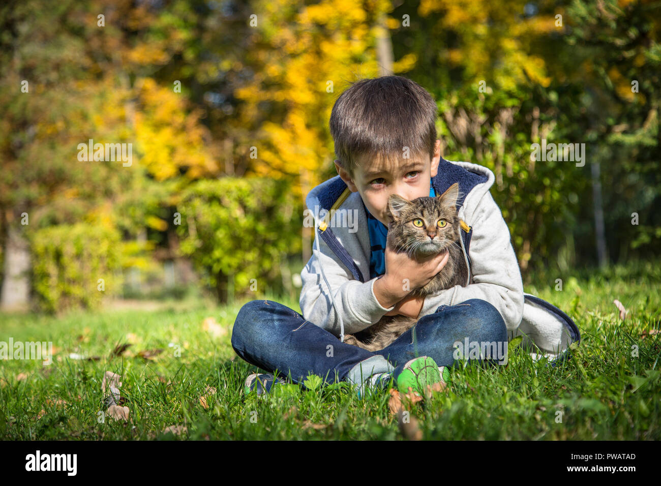 Feliz chico en el parque de otoño con pet gatito. Foto de stock