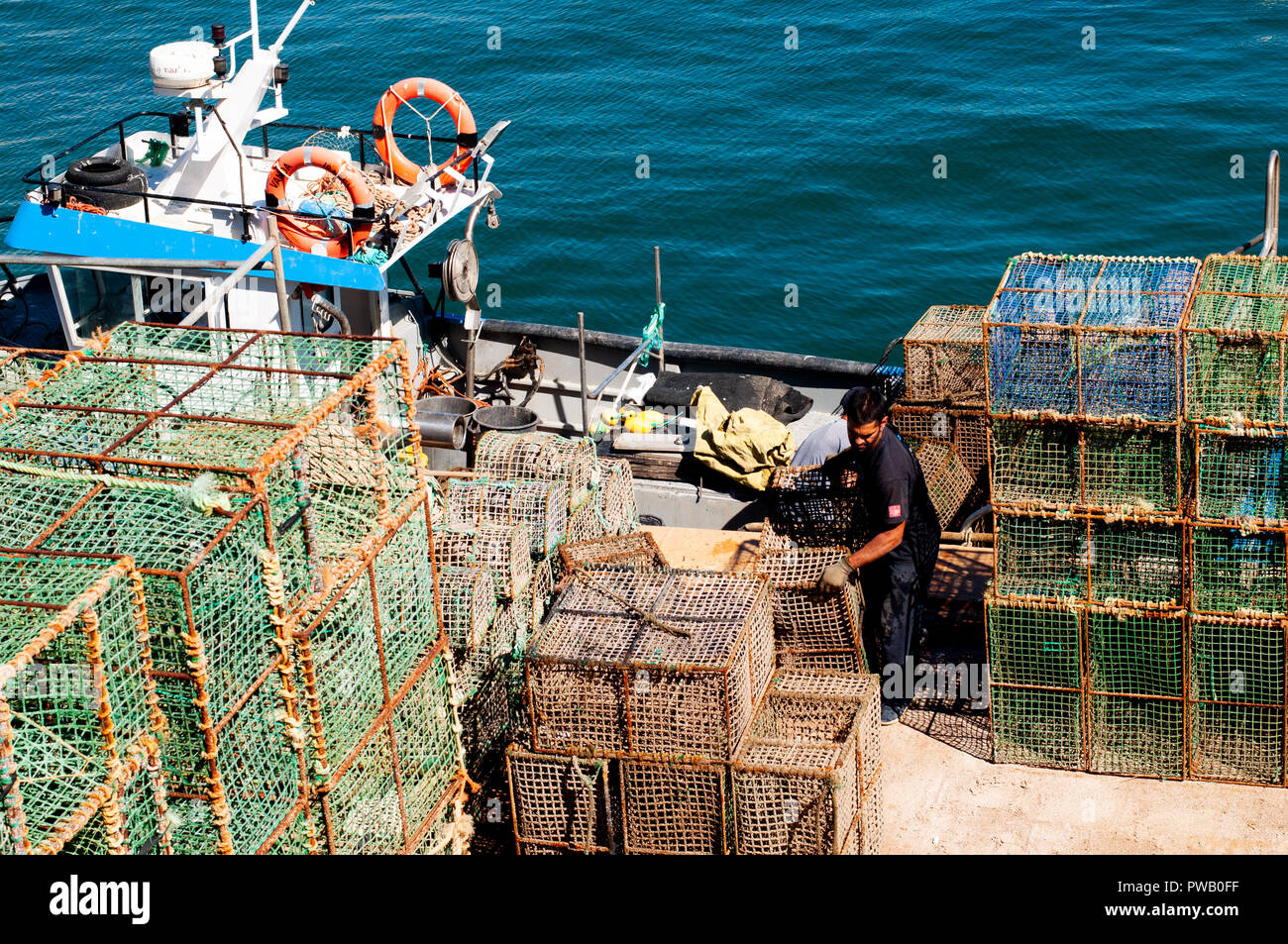Pescador empacando para capturas de pesca pulpo Foto de stock